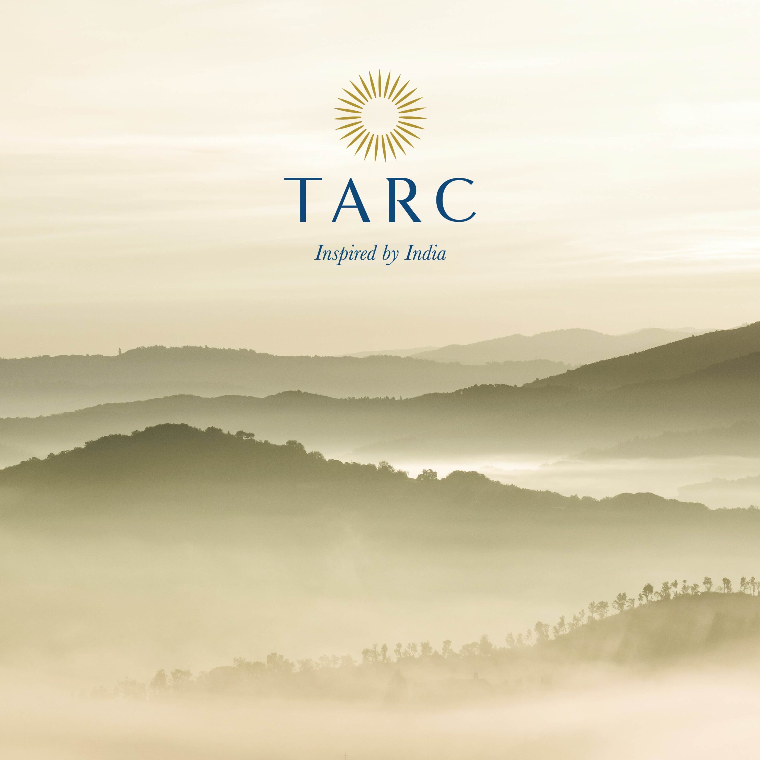 TARC - Brand Identity & Launch